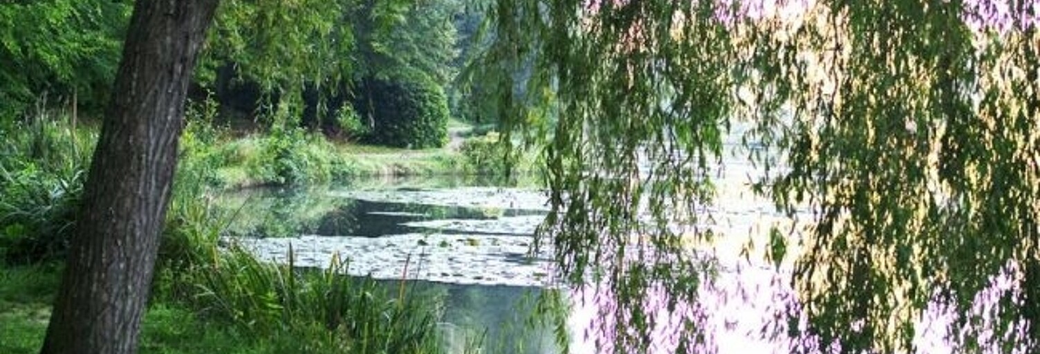 Maison 7 Pièces 180 m² à vendre à Ville-d'Avray (92410)