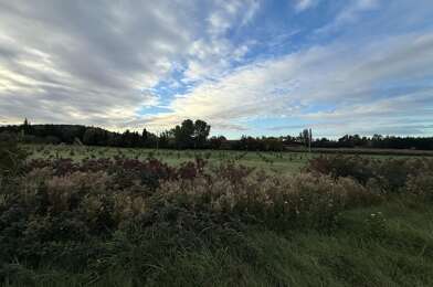 Maison 4 pièces 504000 €