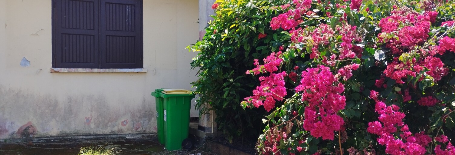 Maison 5 Pièces 80 m² à vendre à Petite-Île (97429)