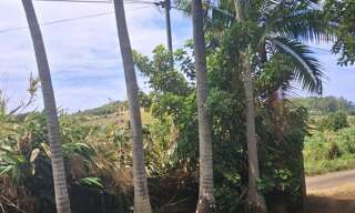 Terrain  754 m² à vendre à Saint-Pierre (97410)