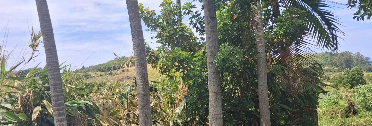 Terrain  754 m² à vendre à Saint-Pierre (97410)