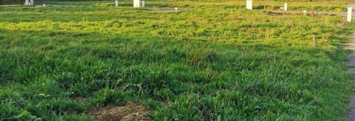 Terrain  325 m² à vendre à Perros-Guirec (22700)