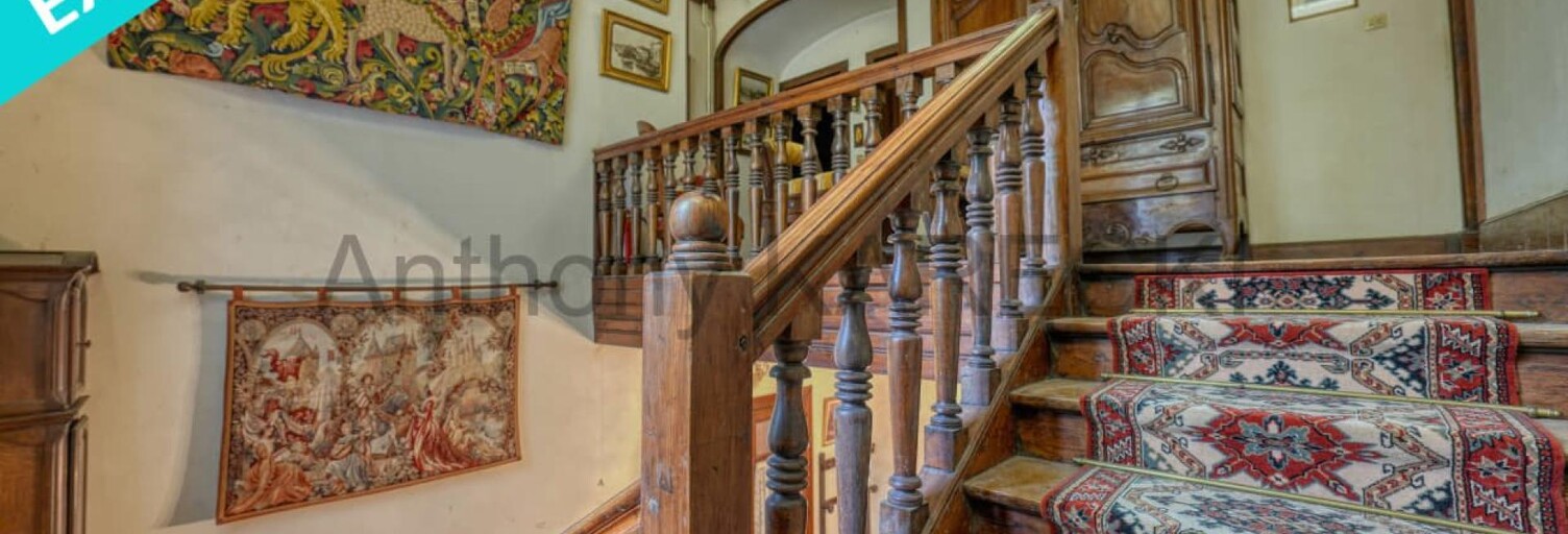 Maison 14 Pièces 400 m² à vendre à Peyrehorade (40300)