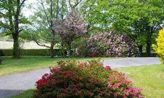 Maison 9 Pièces 285 m² à vendre à Sarran (19800)