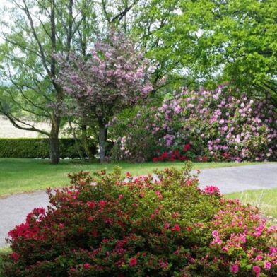 Maison 9 pièces 437000 €