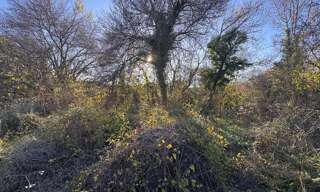 Terrain  1200 m² à vendre à Grabels (34790)