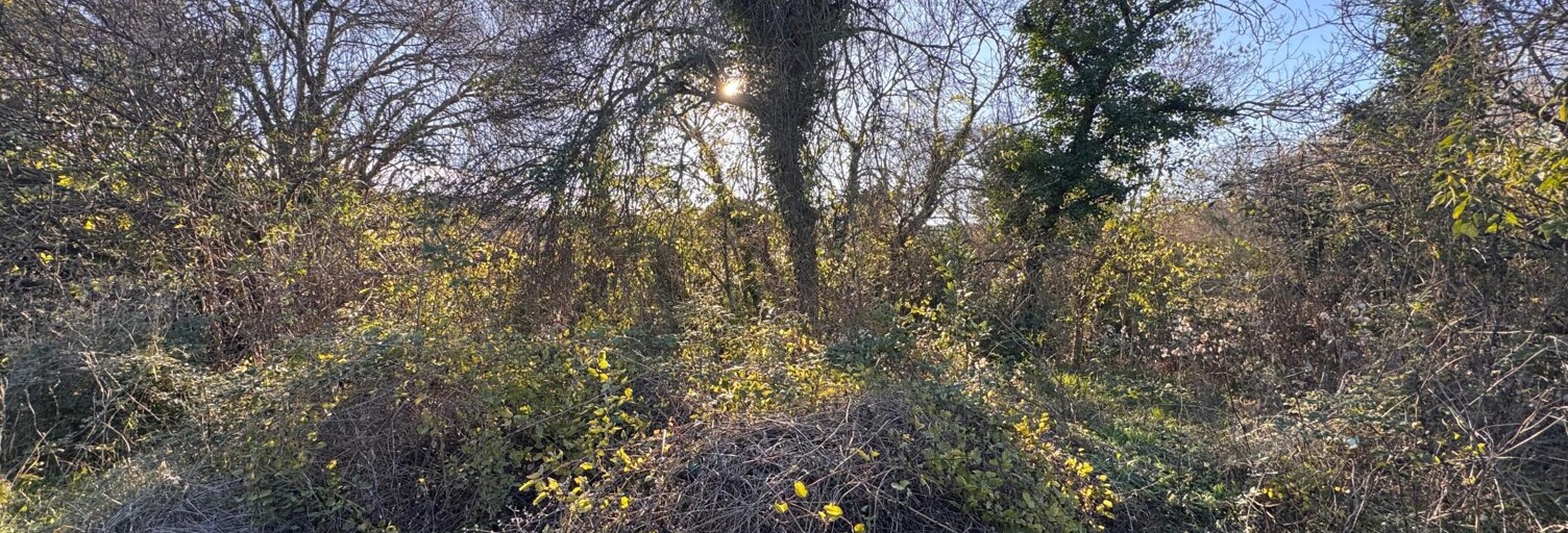 Terrain  1200 m² à vendre à Grabels (34790)