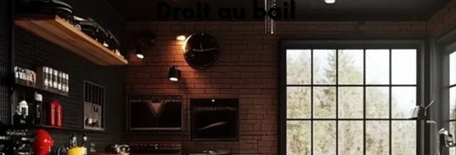 Local industriel 2 Pièces 200 m² à louer à Lyon 3 (69003)