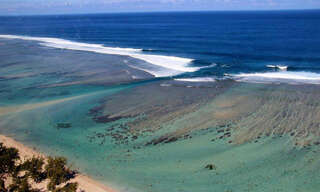 Maison 2 Pièces 35 m² à louer à Saint-Paul (97434)