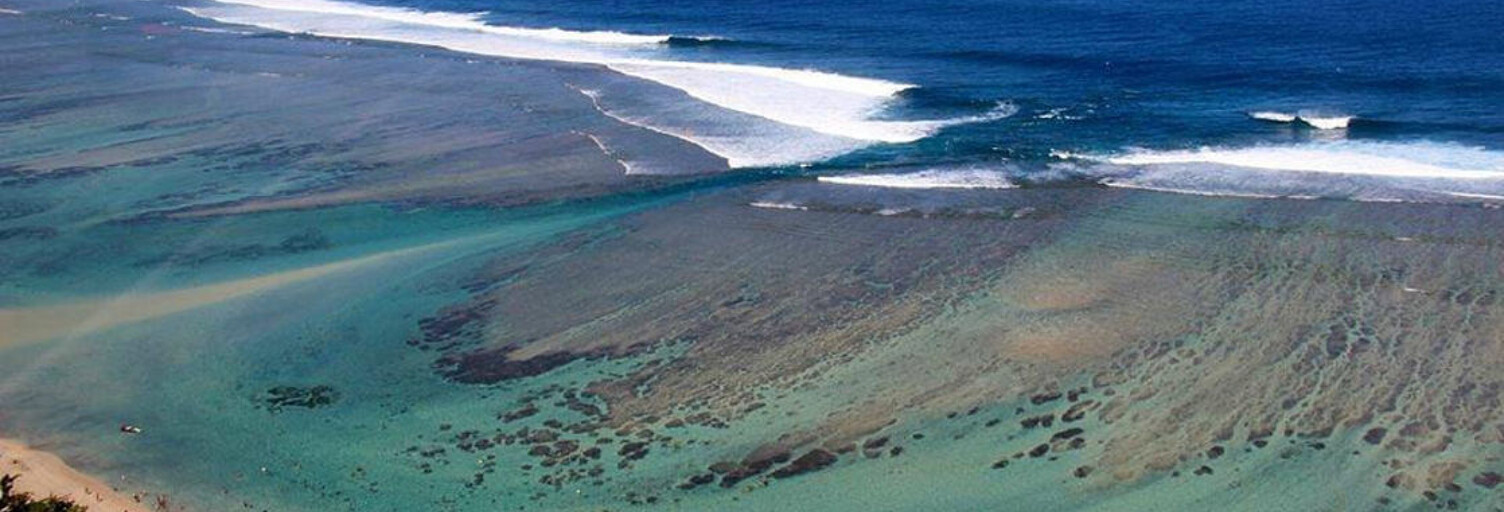 Maison 2 Pièces 35 m² à louer à Saint-Paul (97434)