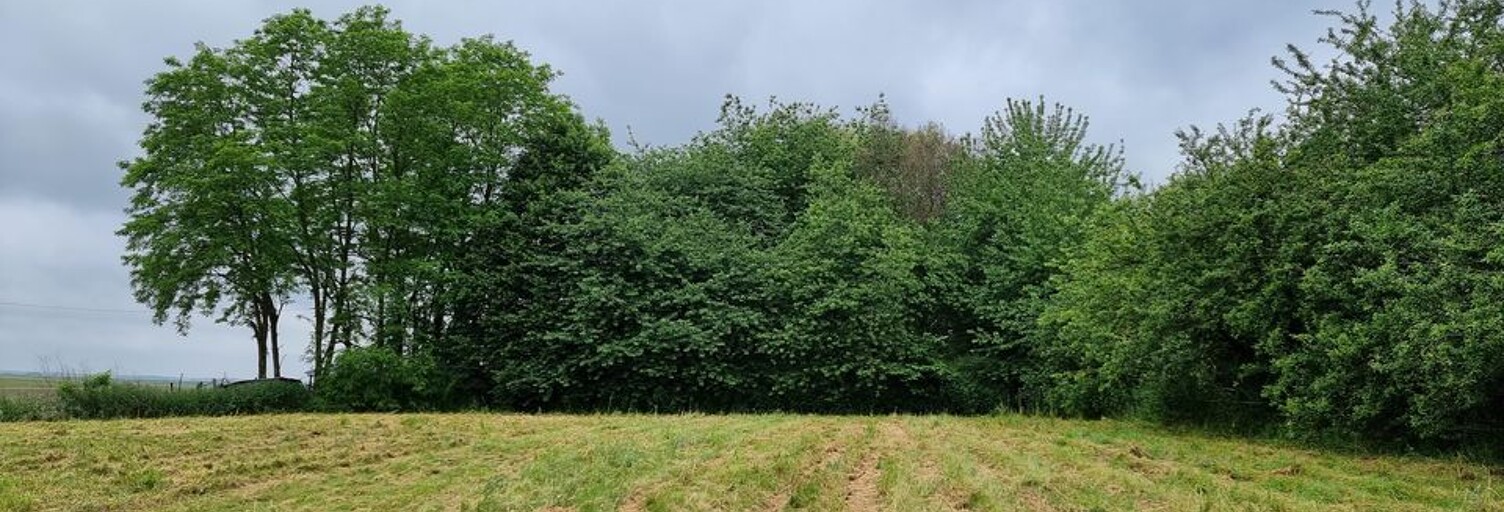 Terrain  792 m² à vendre à Sancy-lès-Provins (77320)