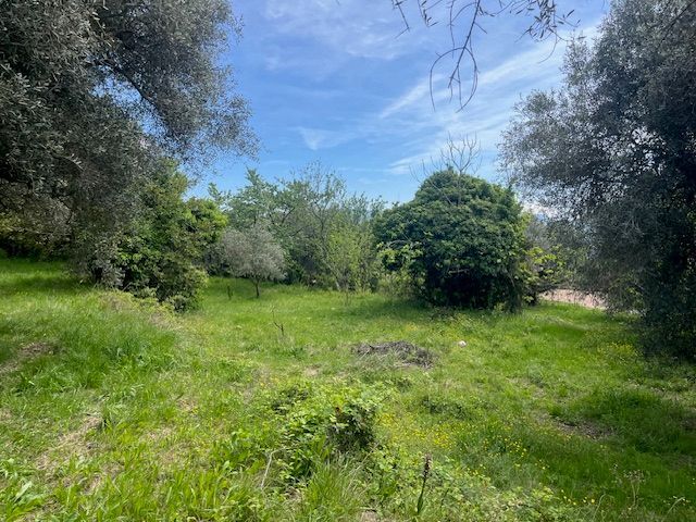 Photo Terrain Contes