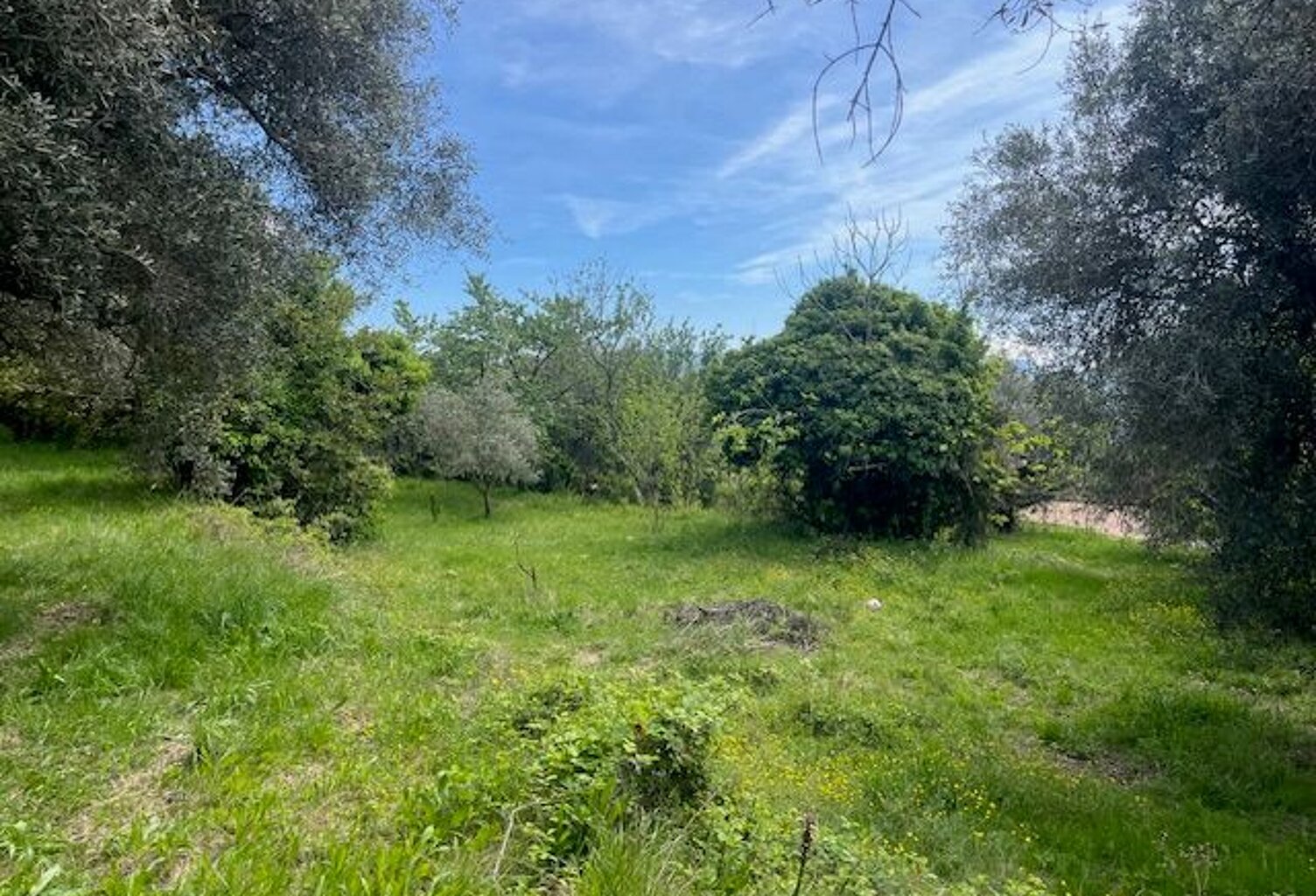 Terrain À Vendre — photo 1