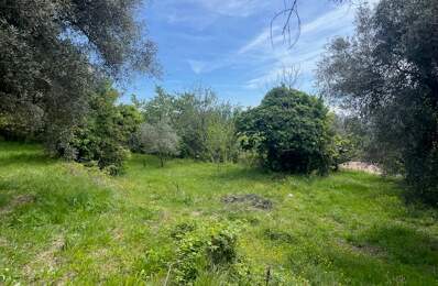 Terrain À Vendre — photo du bien