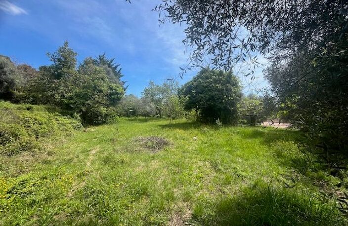 Terrain À Vendre — photo 4