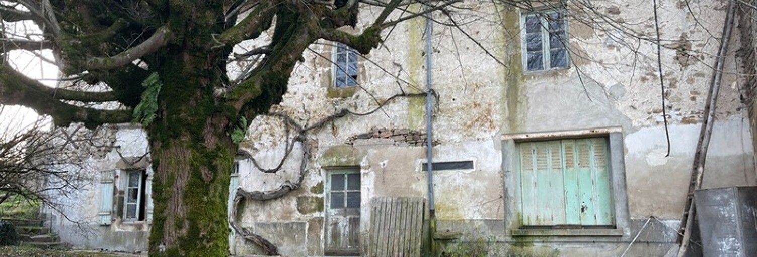 Maison 9 Pièces 157 m² à vendre à Balledent (87290)