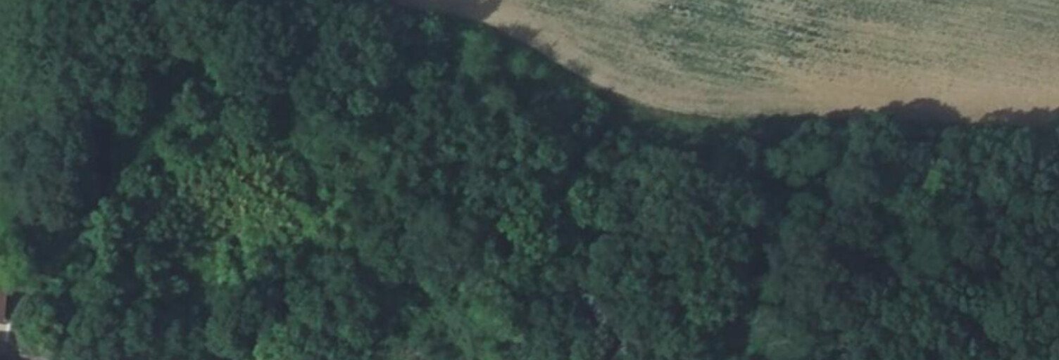 Terrain  7201 m² à vendre à Saint-Lary (32360)