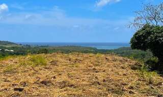 Terrain  499 m² à vendre à Rivière-Salée (97215)