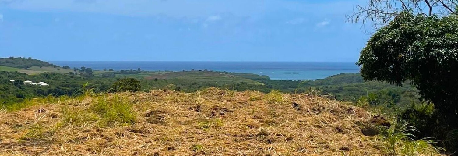 Terrain  499 m² à vendre à Rivière-Salée (97215)