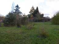Terrain constructible de 1237 m² à Dhuizon — photo 2