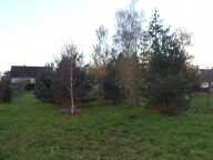 Terrain constructible de 1237 m² à Dhuizon — photo 3