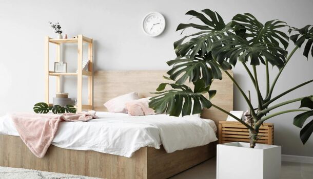 Appartement 2 pièces  à vendre Dourdan 91410