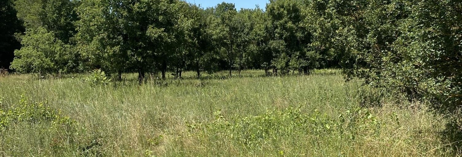 Terrain 2000 m² à construire Jouques (13490)