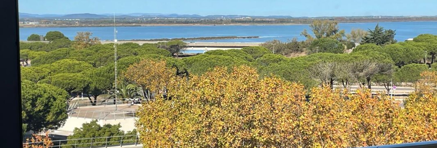 Appartement 1 Pièce 25 m² à vendre à Mauguio (34130)