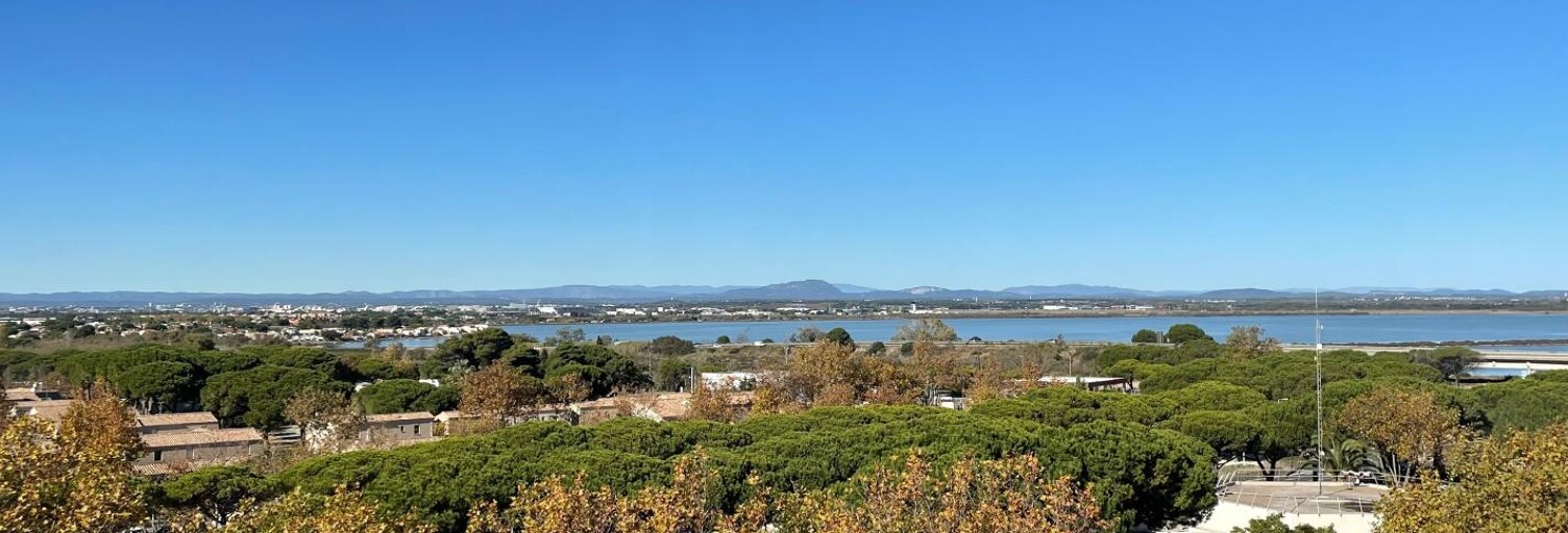 Appartement 1 Pièce 25 m² à vendre à Mauguio (34130)