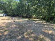 Terrain 1198 m² viabilisé et au calme — photo 4