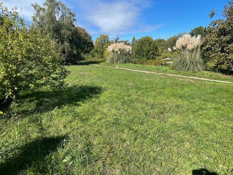 Terrain À Vendre — photo 1