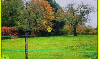 Maison 1 Pièce  m² à vendre à Méry-ès-Bois (18380)