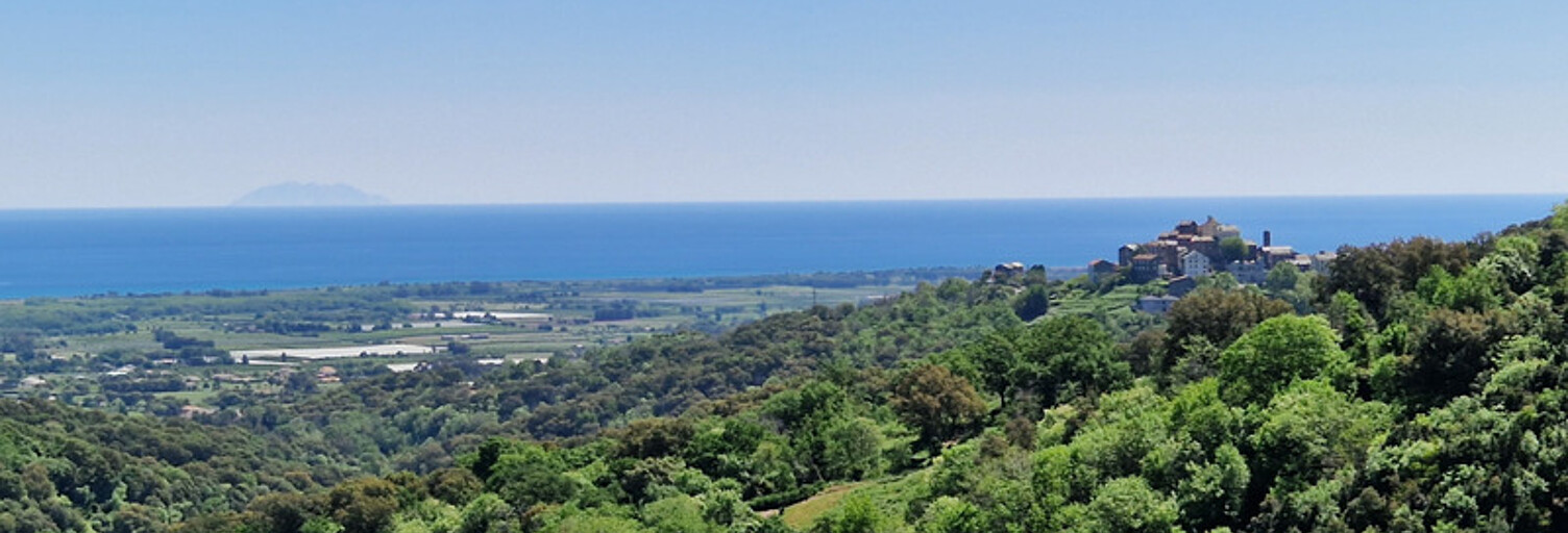 Maison 7 Pièces 160 m² à vendre à Sorbo-Ocagnano (20213)