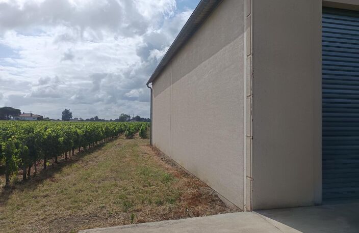 Local commercial F2 — photo 4