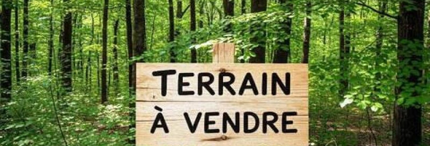 Terrain  3234 m² à vendre à Péaule (56130)