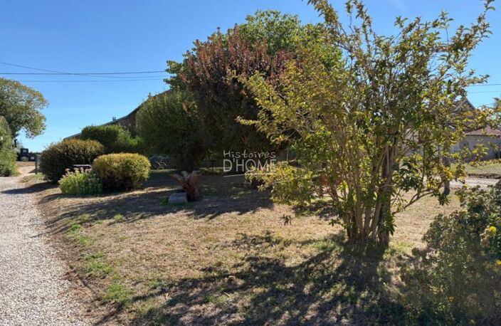 Aux portes de la Ferté Gaucher — photo 2