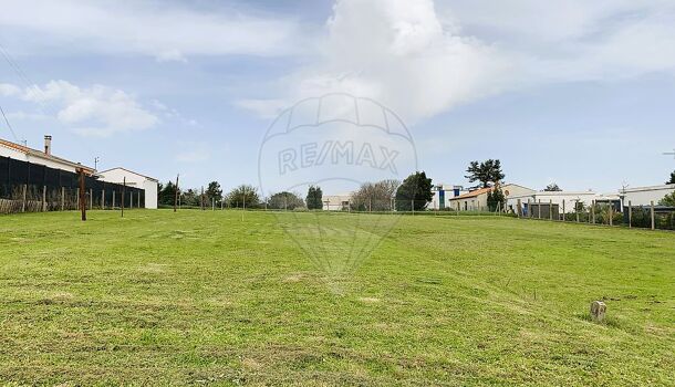 Terrain  à vendre Royan 17200