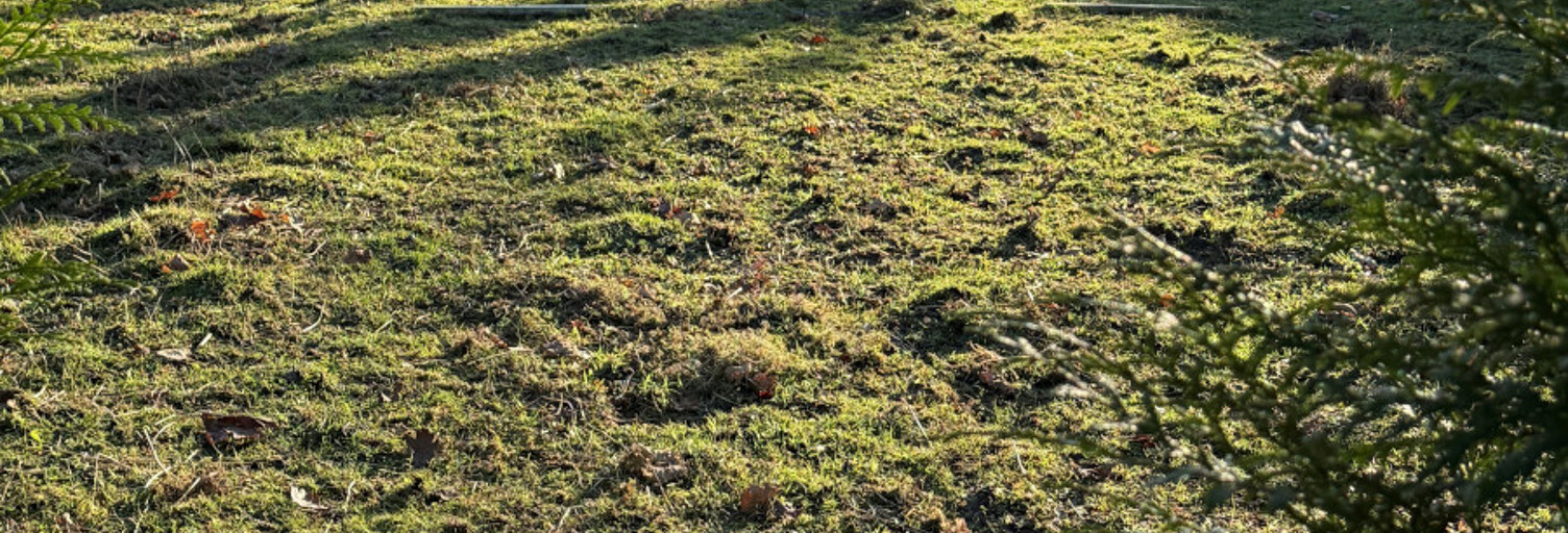 Terrain  600 m² à vendre à Gerville (76790)