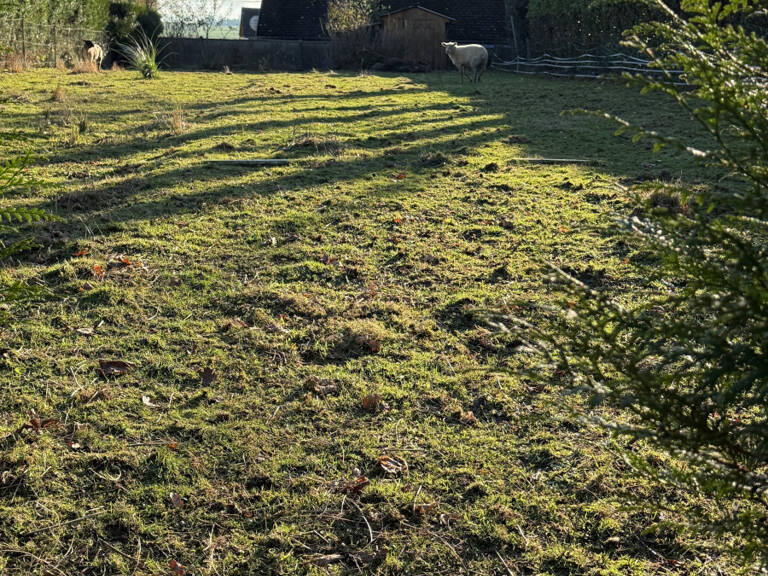 Axe FECAMP / GODERVILLE à GERVILLE parcelle de terrain à bâtir — photo 1