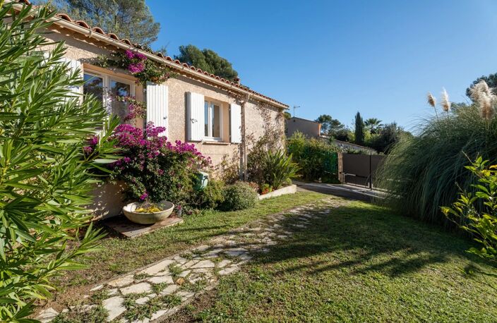 Maison — photo 2