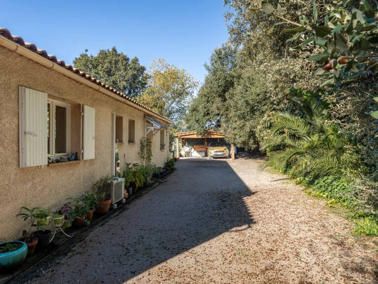 Maison — photo 1