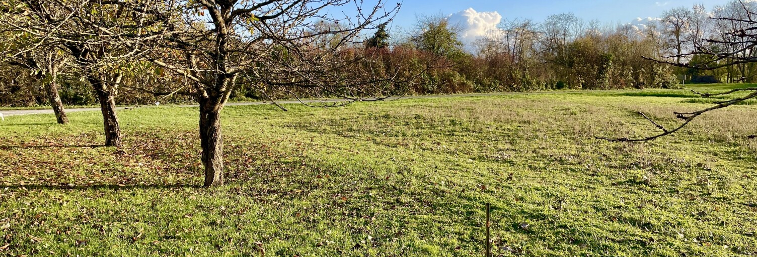 Terrain  800 m² à vendre à Saint-Ciers-Champagne (17520)