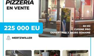 Commerce  50 m² à vendre à Mertzwiller (67580)