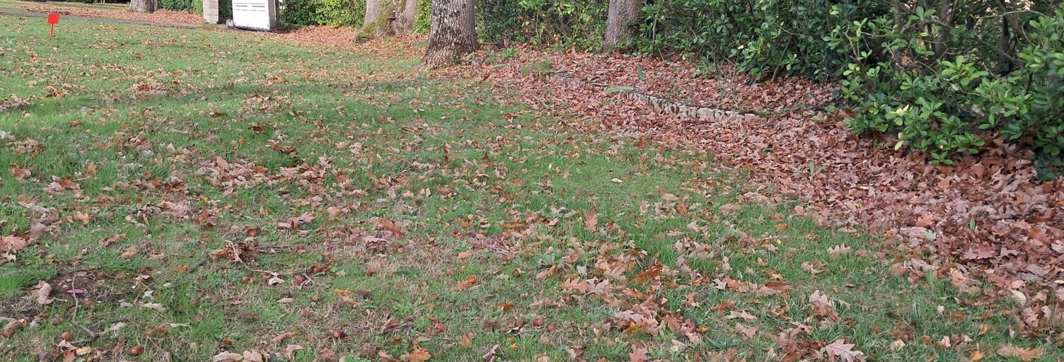 Terrain  712 m² à vendre à Sainte-Foy (85150)