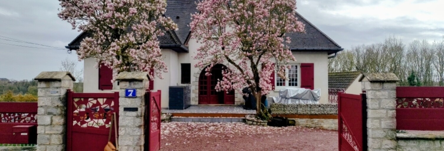 Maison 10 Pièces 241 m² à vendre à Bonneval (28800)