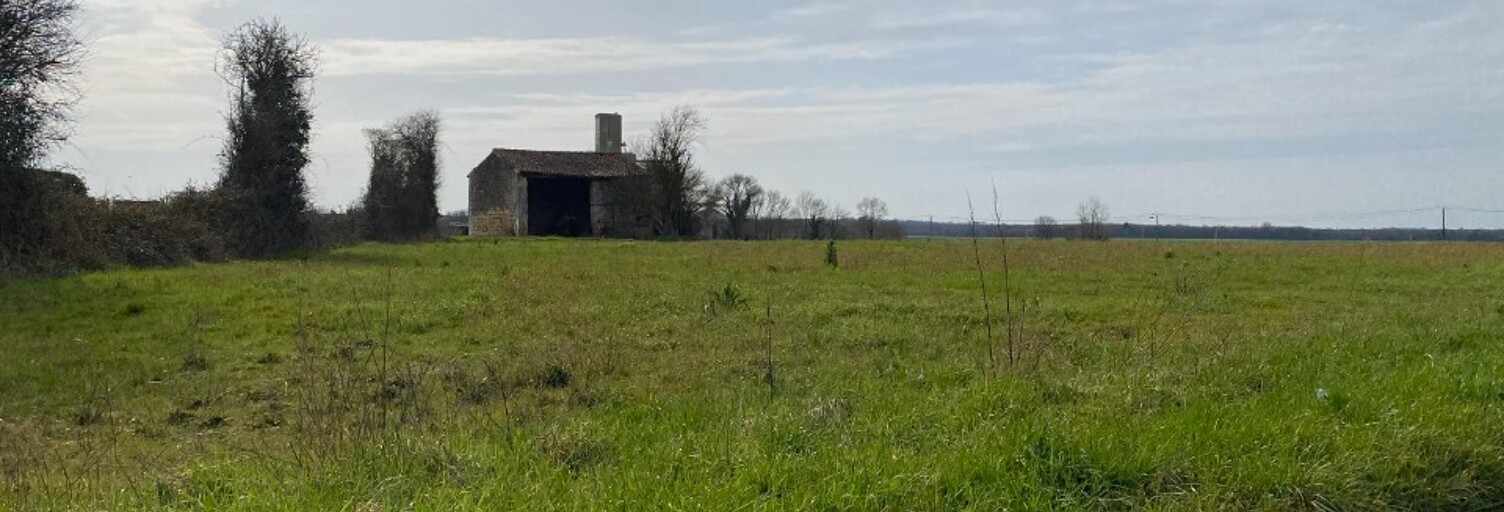 Terrain  753 m² à vendre à Plassay (17250)