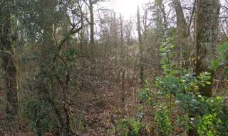 Terrain  1194 m² à vendre à La Brède (33650)