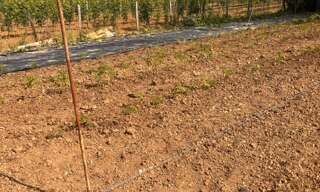 Terrain  600 m² à vendre à Créon (33670)