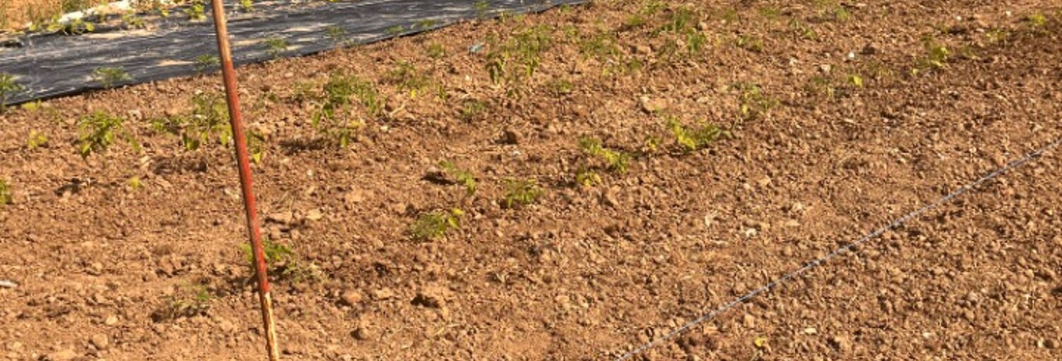 Terrain  600 m² à vendre à Créon (33670)