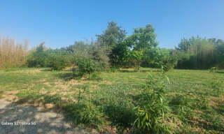 Terrain  944 m² à vendre à Daux (31700)